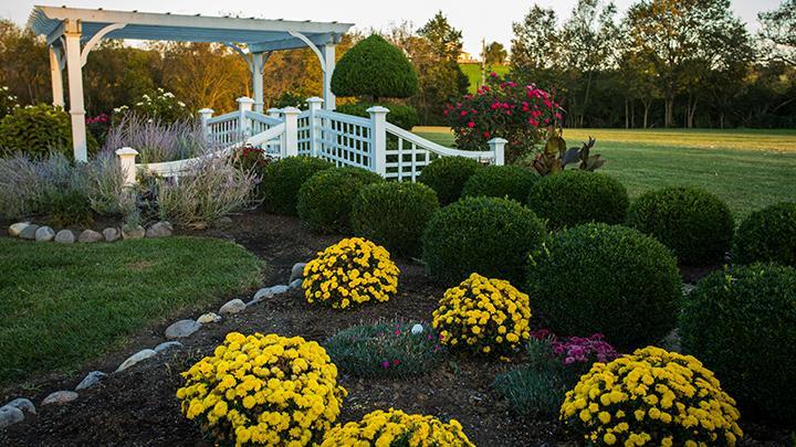 Rabbit Creek Bed & Breakfast Versailles Екстериор снимка